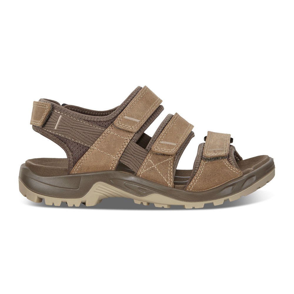 Sandalias Hombre - ECCO Offroad Flat - Marrom - TYQ159783